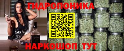 PSILOCYBIN Будённовск