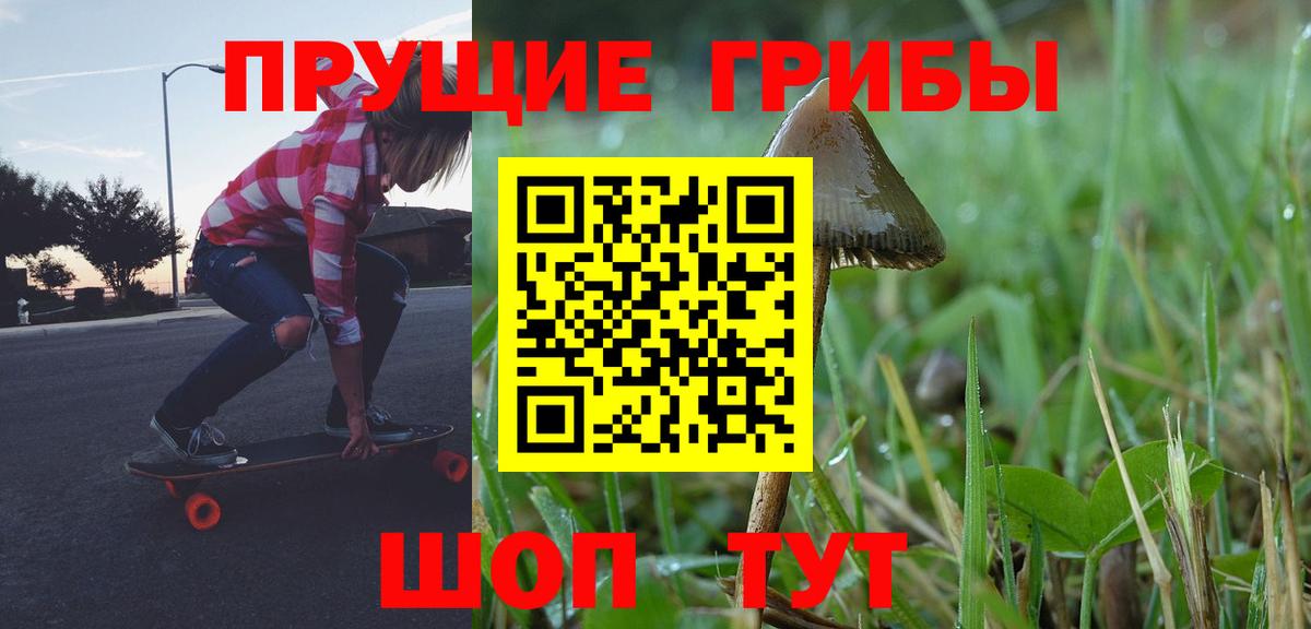 Кропоткин  где можно купить   Вход с VPN  Псилоцибиновые грибы MAGIC MUSHROOMS 